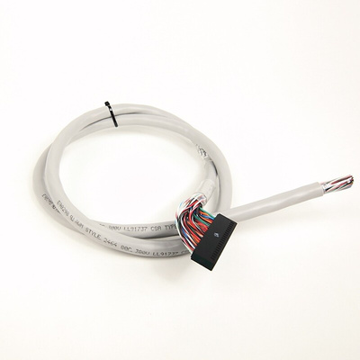 Rockwell Automation PLC Cable for Use with BULLETIN 1492