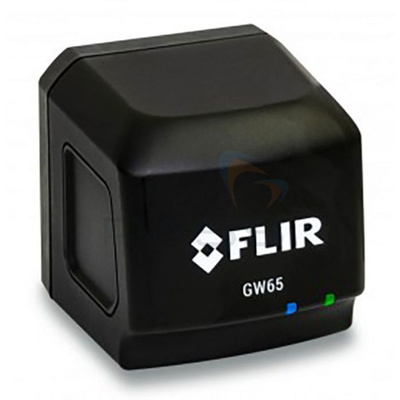 FLIR GW65 Vibration Meter