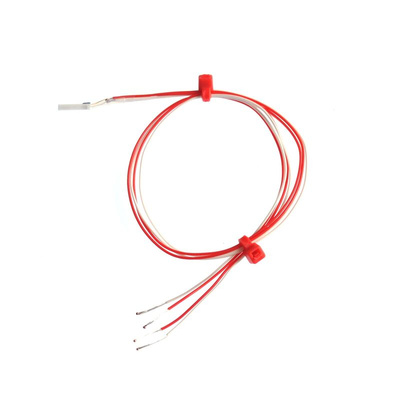 RS PRO PT100 RTD Sensor, 2mm Dia, 10mm Long, 2 Wire, Probe, Class B +250°C Max