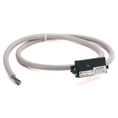 Rockwell Automation PLC Cable for Use with BULLETIN 1492