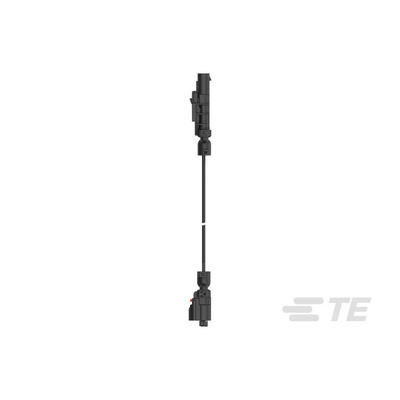 TE Connectivity 1 Way Male to 2 Way Male F Type Cable assembly, 3m