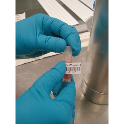Brady B-427 Self-laminating Vinyl Red/Transparent Cable Labels, 25.4mm Width, 25.4mm Height, 250 Qty