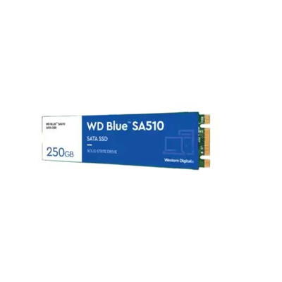 Western Digital WD BLUE 3D NAND SATA M.2 2280 250 GB Internal Hard Disk Drive