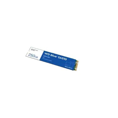 Western Digital WD BLUE 3D NAND SATA M.2 2280 250 GB Internal Hard Disk Drive