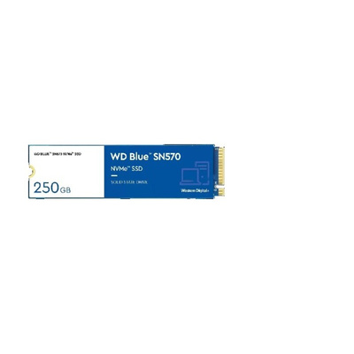 Western Digital WD BLUE NVMe SSD M.2 2280 250 GB Internal Hard Disk Drive