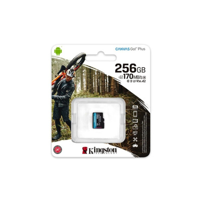 Kingston 256 GB MicroSDXC Micro SD Card, Class 10