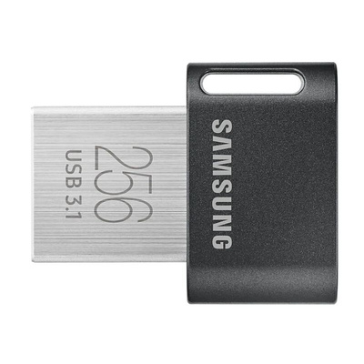 Samsung 256 GB USB 3.1 USB Stick