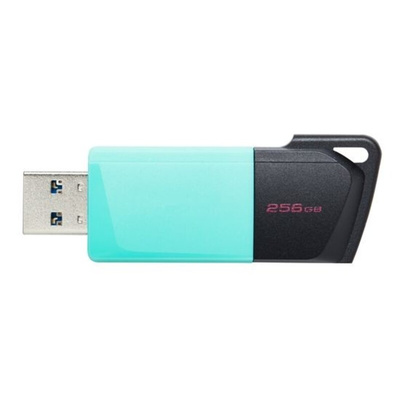 Kingston DataTraveler Exodia M 256 GB USB 3.2 USB Flash Drive