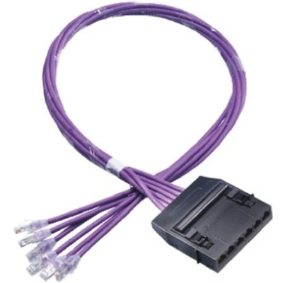 Polyco Healthline Cat6 RJ45 6 Port Cassette to Plug Cable Assembly, UTP Shielding