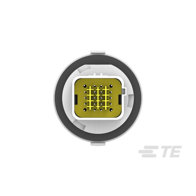 TE Connectivity, NTSEAL Automotive Connector Socket 20 Way, Solder Termination