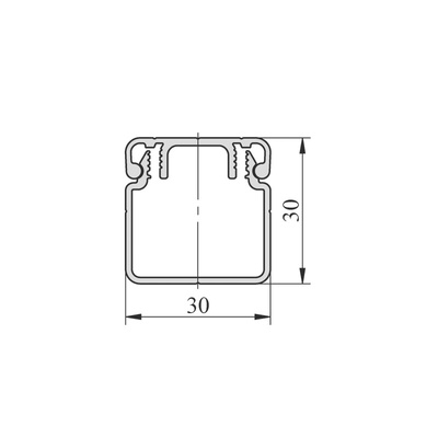 RS PRO Silver Cable Trunking - Open Slot, W30 mm x D30mm, L2m, Aluminium