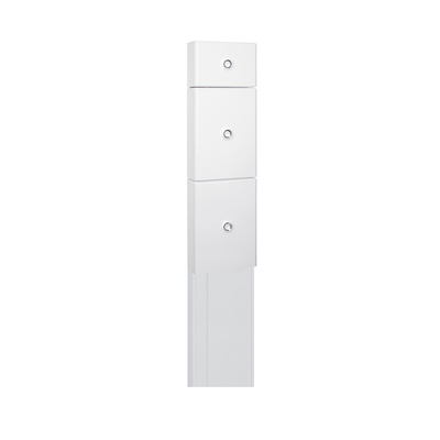 Legrand White, W250 mm x D65mm, L1.66m, PVC