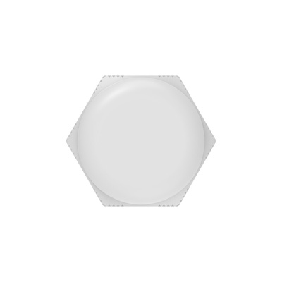 1SNG Series Light Grey PA 6 Cable Gland, M32 Thread, 18mm Min, 25mm Max, IP66, IP68