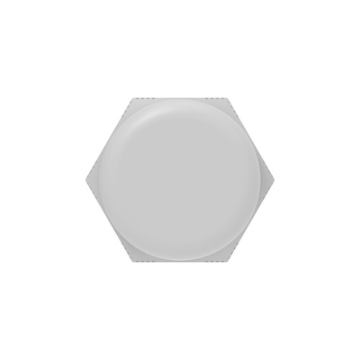 1SNG Series Light Grey PA 6 Cable Gland, M40 Thread, 19mm Min, 28mm Max, IP66, IP68