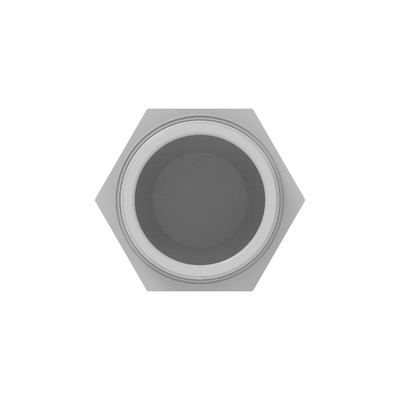 1SNG Series Light Grey PA 6 Cable Gland, M40 Thread, 19mm Min, 28mm Max, IP66, IP68