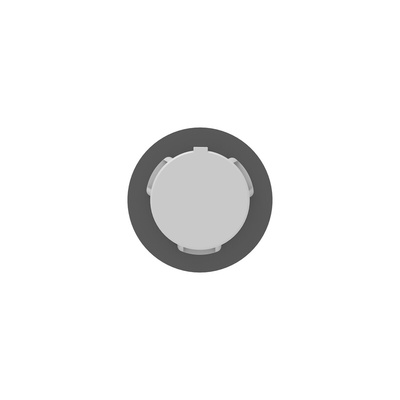 1SNG Series Light Grey PA 6 Cable Gland, PG13.5 Thread, 8mm Min, 17mm Max, IP66, IP68