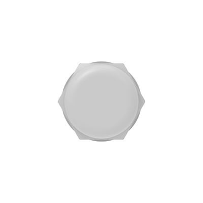 1SNG Series Light Grey PA 6 Cable Gland, M40 Thread, 22mm Min, 32mm Max, IP66, IP68