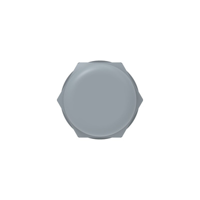 1SNG Series Grey PA 6 Cable Gland, M40 Thread, 22mm Min, 32mm Max, IP66, IP68