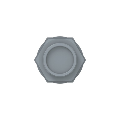1SNG Series Grey PA 6 Cable Gland, M40 Thread, 22mm Min, 32mm Max, IP66, IP68
