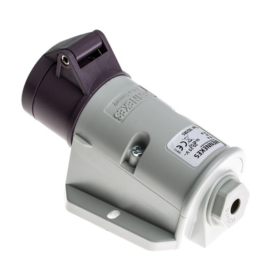 MENNEKES IP44 Purple Wall Mount 2P Right Angle Socket, Rated At 16A, 20 → 25 V