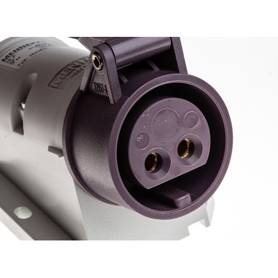 MENNEKES IP44 Purple Wall Mount 2P Right Angle Socket, Rated At 16A, 20 → 25 V
