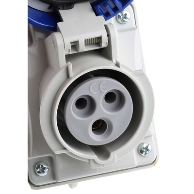Scame IP66 Blue 1 x 2P + E, 2 x 2P + E Industrial Power Connector Adapter Plug, Socket, Rated At 16A, 240 V