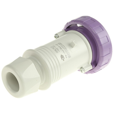 Scame IP67 Purple Cable Mount 2P Industrial Power Plug, Rated At 16A, 20 → 25 V