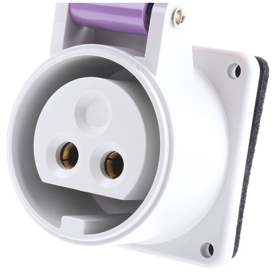 Scame IP44 Purple Panel Mount 2P Industrial Power Socket, Rated At 16A, 20 → 25 V
