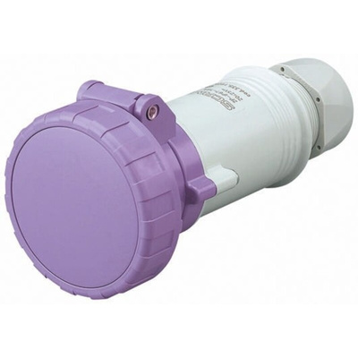 Scame IP66, IP67 Purple Cable Mount 2P Industrial Power Socket, Rated At 16A, 20 → 25 V