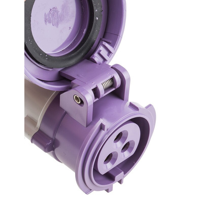 Scame IP66, IP67 Purple Cable Mount 3P Industrial Power Socket, Rated At 16A, 20 → 25 V