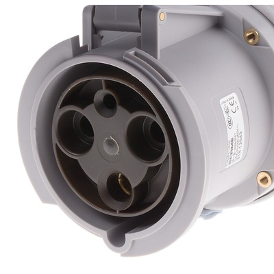 Scame IP66, IP67 Blue Cable Mount 2P + E Industrial Power Socket, Rated At 125A, 230 V
