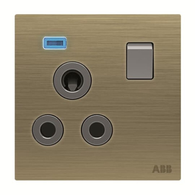 ABB Gold Electrical Socket, 2 Poles, 15A