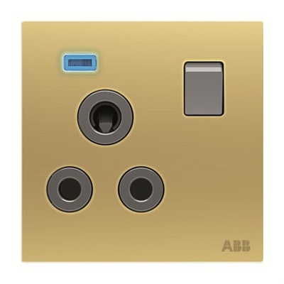 ABB Gold Electrical Socket, 2 Poles, 15A