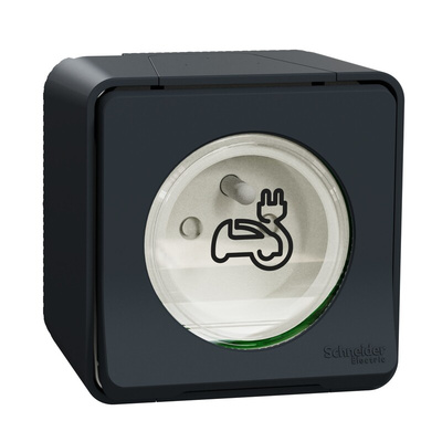 Schneider Electric Grey 1 Gang EV Charging Socket, 2 Poles, 16A, French 2P, Indoor, Outdoor Use