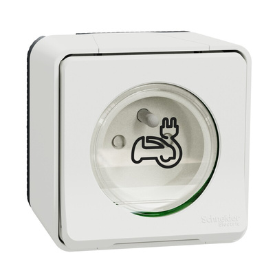 Schneider Electric Grey, White 1 Gang EV Charging Socket, 2 Poles, 16A, French 2P, Indoor, Outdoor Use