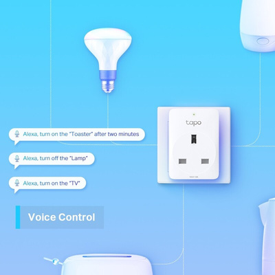 TP-Link Smart Socket, 13A, 240 V