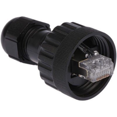 Brad from Molex 13005 Series Male RJ45 Connector, Cable Mount, Cat5e