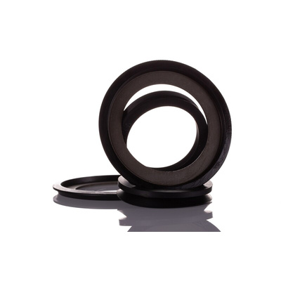 SKF TSN 510 A Ring Seal -, 45mm ID