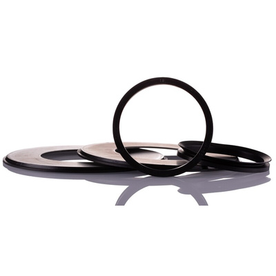 SKF TSN 616 A Ring Seal -, 70mm ID