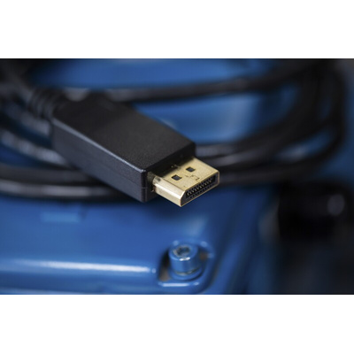 RS PRO Male DisplayPort to Male DVI-D Dual Link, PVC  Cable, 1080p, 2m