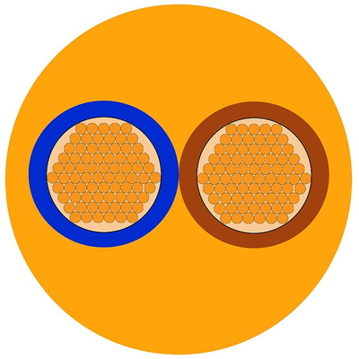 RS PRO 2 Core Power Cable, 1.5 mm², 100m, Orange PVC Sheath, 3182Y, 15 A, 500 V