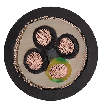 Igus 4 Core Multicore Mains Power Cable, 2.5 mm², 100m, Black PVC Sheath, Power, 21 A, 4000 v