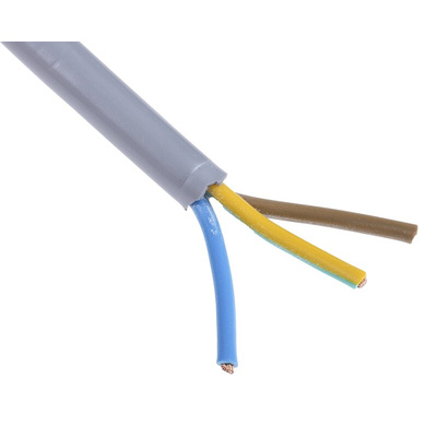 RS PRO CEE 7/7 Plug to Unterminated Power Cord, 2.5m