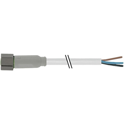 RS PRO Straight Female 3 way M8 to Unterminated Sensor Actuator Cable, 2m