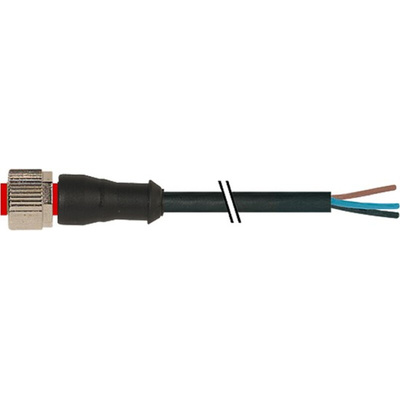 RS PRO Straight Female 3 way M12 to Unterminated Sensor Actuator Cable, 2m