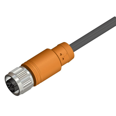 RS PRO Straight Female 4 way M12 to Unterminated Sensor Actuator Cable, 2m