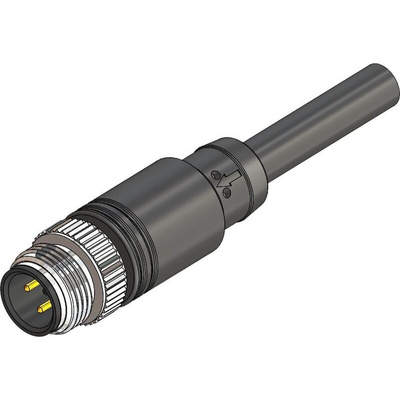 RS PRO Straight Male M12 to Unterminated Sensor Actuator Cable, 2m
