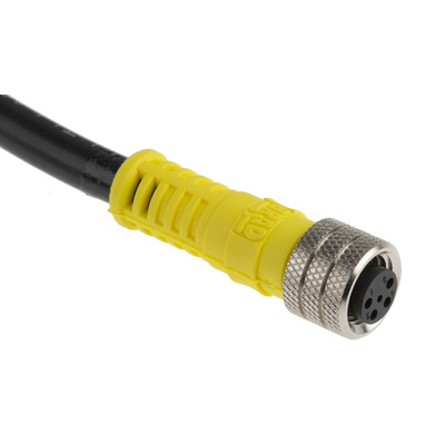 Brad from Molex Straight Female 4 way M8 to Unterminated Sensor Actuator Cable, 2m