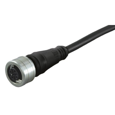 Brad from Molex Straight Female 12 way M12 to Unterminated Sensor Actuator Cable, 2m