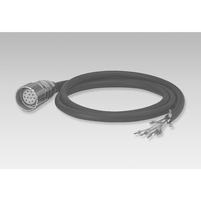 Baumer Female 12 way M23 to Unterminated Sensor Actuator Cable, 2m